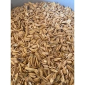 Aveia Achatada Para Cavalo 5kg