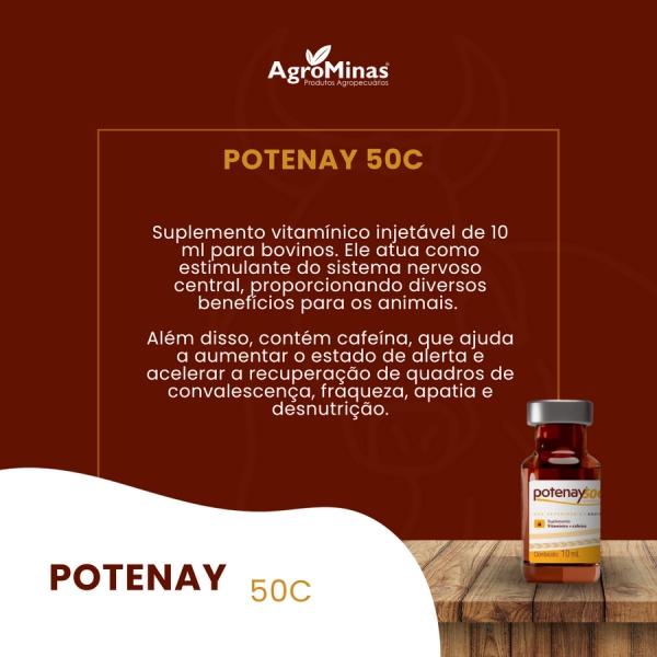 Suplemento Potenay 50C 10Ml Inj B12 Cafeina Zoetis