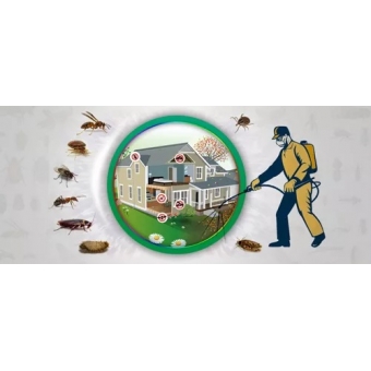 Contra Escorpiões Inseticida Pó Lambda Cialotrina Lamthrine 25gr Dipil