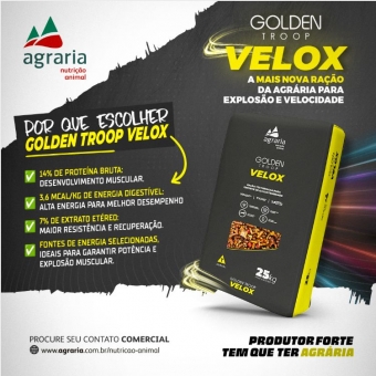 Ração Laminada Massa Muscular Equinos Muares Velox 14% Proteína 25kg