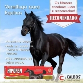 Hipofen Vermífugo Fembendazol Égua Cavalo Potro Mula Burro