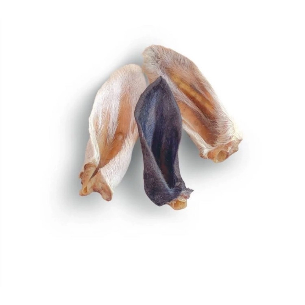 Petisco Para Caes e Gatos Orelha De Carneiro Cordeiro Desidratada 80gr Rancho Phoenix