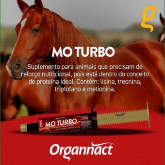 Kit Mo Turbo Com 3 Bisnagas Para Equinos 80gr (56ML) Organnact
