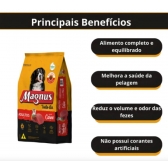 Ração Magnus Premium Todo Dia Cão Adulto Sabor Carne 15kg