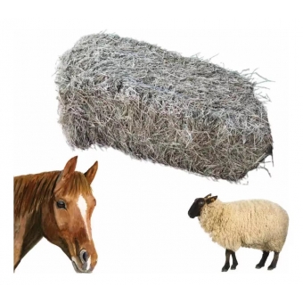 Fardo De Feno 10kg(Média) Para Tiro Ao Alvo Decoração Alimentação Animal