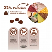 Ração Cães Adultos Dog Excellence Carne/frango 15kg Essence