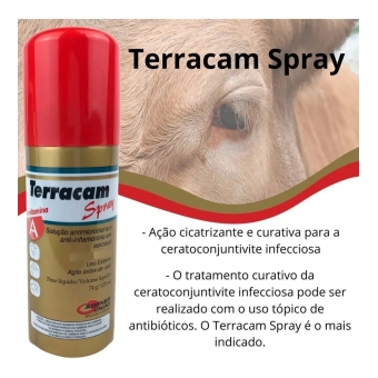 Terracam Spray Anti-inflamatório Cicatrizante 125ml