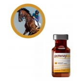 Suplemento Potenay 50C 10Ml Inj B12 Cafeina Zoetis