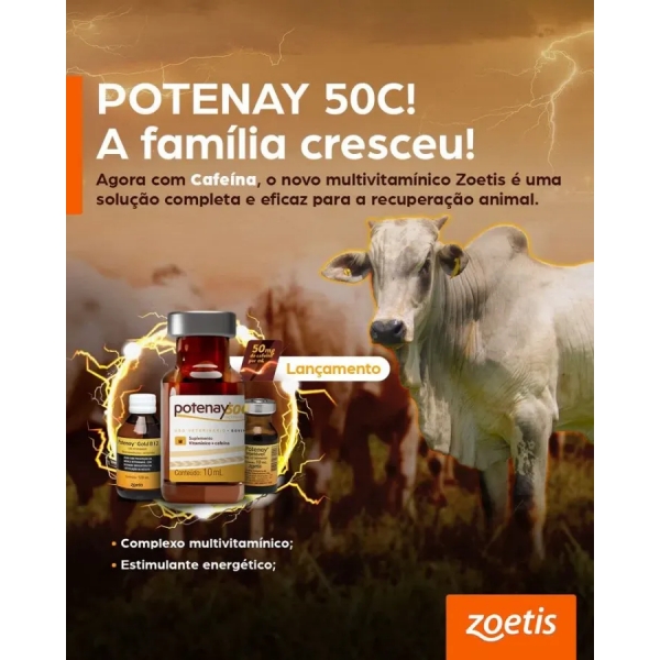 Suplemento Potenay 50C 10Ml Inj B12 Cafeina Zoetis