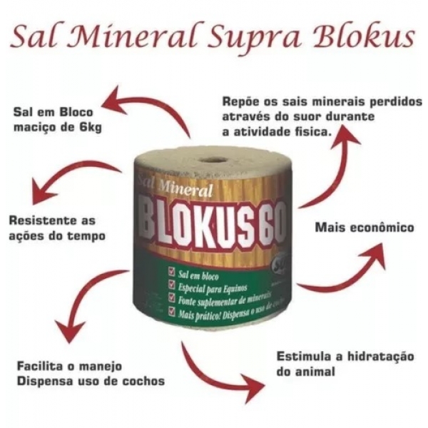 Sal Suplemento Mineral Equino Blokus 60 Supra - 6kg