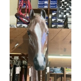 Cabeça Busto De Cavalo De Fibra Em Tamanho Real