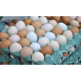 Ovo Caipira Organico Com 12 Unidades Possivelmente 2 Gemas