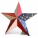Estrela Decorativa Dos Estados Unidos Metal