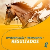 4 Bisnaga Organnact Mo Turbo De 80Gr (56ML) Cada